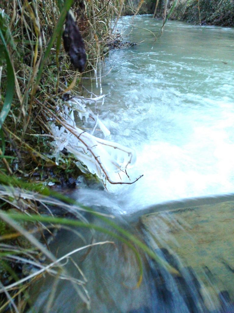 Introduction aux émotions dans la pratique philosophique